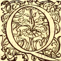 An illustration from Gvlielmi Rondeletii ... Libri de piscibus marinis, in quibus veræ piscium effigies expressæ sunt .. (1554)
