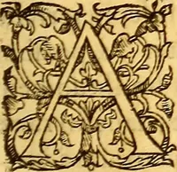 An illustration from Gvlielmi Rondeletii ... Libri de piscibus marinis, in quibus veræ piscium effigies expressæ sunt .. (1554)