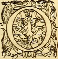 An illustration from Gvlielmi Rondeletii ... Libri de piscibus marinis, in quibus veræ piscium effigies expressæ sunt .. (1554)