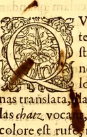 Picture 343 of 837 from Gvlielmi Rondeletii ... Libri de piscibus marinis, in quibus veræ piscium effigies expressæ sunt .. (1554), leaf 399