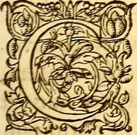 An illustration from Gvlielmi Rondeletii ... Libri de piscibus marinis, in quibus veræ piscium effigies expressæ sunt .. (1554)