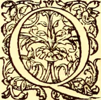Picture 347 of 837 from Gvlielmi Rondeletii ... Libri de piscibus marinis, in quibus veræ piscium effigies expressæ sunt .. (1554), leaf 403