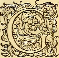 An illustration from Gvlielmi Rondeletii ... Libri de piscibus marinis, in quibus veræ piscium effigies expressæ sunt .. (1554)