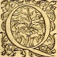 Picture 353 of 837 from Gvlielmi Rondeletii ... Libri de piscibus marinis, in quibus veræ piscium effigies expressæ sunt .. (1554), leaf 412
