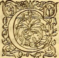 An illustration from Gvlielmi Rondeletii ... Libri de piscibus marinis, in quibus veræ piscium effigies expressæ sunt .. (1554)