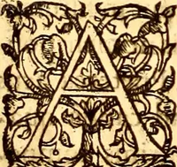 An illustration from Gvlielmi Rondeletii ... Libri de piscibus marinis, in quibus veræ piscium effigies expressæ sunt .. (1554)