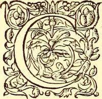 Picture 22 of 837 from Gvlielmi Rondeletii ... Libri de piscibus marinis, in quibus veræ piscium effigies expressæ sunt .. (1554), leaf 43