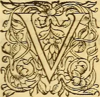 Picture 374 of 837 from Gvlielmi Rondeletii ... Libri de piscibus marinis, in quibus veræ piscium effigies expressæ sunt .. (1554), leaf 442