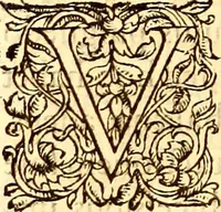 An illustration from Gvlielmi Rondeletii ... Libri de piscibus marinis, in quibus veræ piscium effigies expressæ sunt .. (1554)