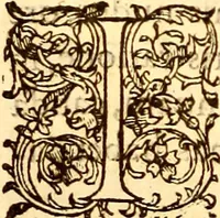An illustration from Gvlielmi Rondeletii ... Libri de piscibus marinis, in quibus veræ piscium effigies expressæ sunt .. (1554)
