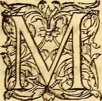 An illustration from Gvlielmi Rondeletii ... Libri de piscibus marinis, in quibus veræ piscium effigies expressæ sunt .. (1554)