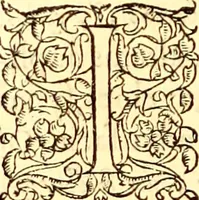 Picture 386 of 837 from Gvlielmi Rondeletii ... Libri de piscibus marinis, in quibus veræ piscium effigies expressæ sunt .. (1554), leaf 451