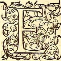 An illustration from Gvlielmi Rondeletii ... Libri de piscibus marinis, in quibus veræ piscium effigies expressæ sunt .. (1554)