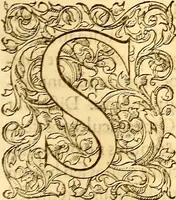 An illustration from Gvlielmi Rondeletii ... Libri de piscibus marinis, in quibus veræ piscium effigies expressæ sunt .. (1554)