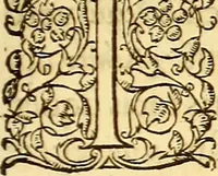 An illustration from Gvlielmi Rondeletii ... Libri de piscibus marinis, in quibus veræ piscium effigies expressæ sunt .. (1554)