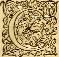 An illustration from Gvlielmi Rondeletii ... Libri de piscibus marinis, in quibus veræ piscium effigies expressæ sunt .. (1554)
