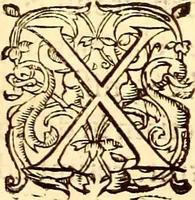 Picture 396 of 837 from Gvlielmi Rondeletii ... Libri de piscibus marinis, in quibus veræ piscium effigies expressæ sunt .. (1554), leaf 469