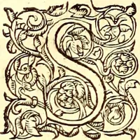 Picture 24 of 837 from Gvlielmi Rondeletii ... Libri de piscibus marinis, in quibus veræ piscium effigies expressæ sunt .. (1554), leaf 47