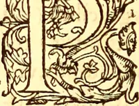 An illustration from Gvlielmi Rondeletii ... Libri de piscibus marinis, in quibus veræ piscium effigies expressæ sunt .. (1554)