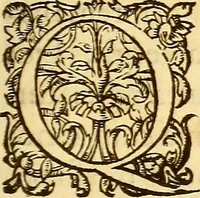 An illustration from Gvlielmi Rondeletii ... Libri de piscibus marinis, in quibus veræ piscium effigies expressæ sunt .. (1554)