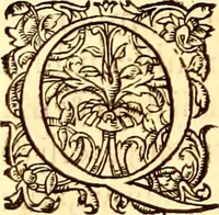 An illustration from Gvlielmi Rondeletii ... Libri de piscibus marinis, in quibus veræ piscium effigies expressæ sunt .. (1554)