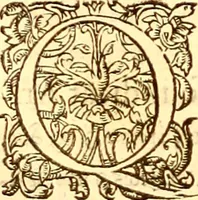 An illustration from Gvlielmi Rondeletii ... Libri de piscibus marinis, in quibus veræ piscium effigies expressæ sunt .. (1554)