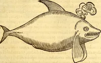 An illustration from Gvlielmi Rondeletii ... Libri de piscibus marinis, in quibus veræ piscium effigies expressæ sunt .. (1554)