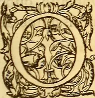 An illustration from Gvlielmi Rondeletii ... Libri de piscibus marinis, in quibus veræ piscium effigies expressæ sunt .. (1554)