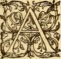 An illustration from Gvlielmi Rondeletii ... Libri de piscibus marinis, in quibus veræ piscium effigies expressæ sunt .. (1554)