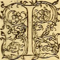 Picture 413 of 837 from Gvlielmi Rondeletii ... Libri de piscibus marinis, in quibus veræ piscium effigies expressæ sunt .. (1554), leaf 506