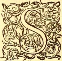 An illustration from Gvlielmi Rondeletii ... Libri de piscibus marinis, in quibus veræ piscium effigies expressæ sunt .. (1554)