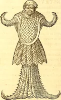 An illustration from Gvlielmi Rondeletii ... Libri de piscibus marinis, in quibus veræ piscium effigies expressæ sunt .. (1554)