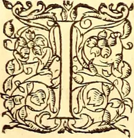 An illustration from Gvlielmi Rondeletii ... Libri de piscibus marinis, in quibus veræ piscium effigies expressæ sunt .. (1554)