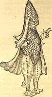 Picture 420 of 837 from Gvlielmi Rondeletii ... Libri de piscibus marinis, in quibus veræ piscium effigies expressæ sunt .. (1554), leaf 513
