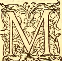 An illustration from Gvlielmi Rondeletii ... Libri de piscibus marinis, in quibus veræ piscium effigies expressæ sunt .. (1554)