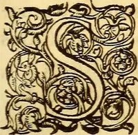An illustration from Gvlielmi Rondeletii ... Libri de piscibus marinis, in quibus veræ piscium effigies expressæ sunt .. (1554)