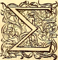 Picture 426 of 837 from Gvlielmi Rondeletii ... Libri de piscibus marinis, in quibus veræ piscium effigies expressæ sunt .. (1554), leaf 517