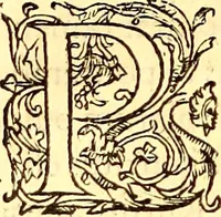 Picture 430 of 837 from Gvlielmi Rondeletii ... Libri de piscibus marinis, in quibus veræ piscium effigies expressæ sunt .. (1554), leaf 525