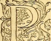 An illustration from Gvlielmi Rondeletii ... Libri de piscibus marinis, in quibus veræ piscium effigies expressæ sunt .. (1554)