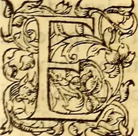 An illustration from Gvlielmi Rondeletii ... Libri de piscibus marinis, in quibus veræ piscium effigies expressæ sunt .. (1554)
