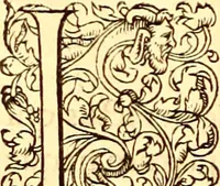 Picture 444 of 837 from Gvlielmi Rondeletii ... Libri de piscibus marinis, in quibus veræ piscium effigies expressæ sunt .. (1554), leaf 539