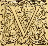 An illustration from Gvlielmi Rondeletii ... Libri de piscibus marinis, in quibus veræ piscium effigies expressæ sunt .. (1554)