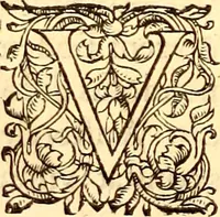 Picture 450 of 837 from Gvlielmi Rondeletii ... Libri de piscibus marinis, in quibus veræ piscium effigies expressæ sunt .. (1554), leaf 547