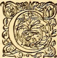 Picture 452 of 837 from Gvlielmi Rondeletii ... Libri de piscibus marinis, in quibus veræ piscium effigies expressæ sunt .. (1554), leaf 548