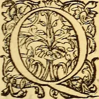 An illustration from Gvlielmi Rondeletii ... Libri de piscibus marinis, in quibus veræ piscium effigies expressæ sunt .. (1554)