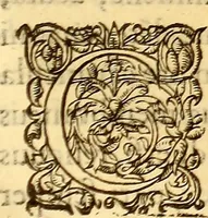 An illustration from Gvlielmi Rondeletii ... Libri de piscibus marinis, in quibus veræ piscium effigies expressæ sunt .. (1554)