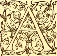 An illustration from Gvlielmi Rondeletii ... Libri de piscibus marinis, in quibus veræ piscium effigies expressæ sunt .. (1554)