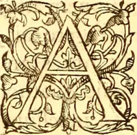 An illustration from Gvlielmi Rondeletii ... Libri de piscibus marinis, in quibus veræ piscium effigies expressæ sunt .. (1554)