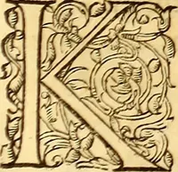 Picture 471 of 837 from Gvlielmi Rondeletii ... Libri de piscibus marinis, in quibus veræ piscium effigies expressæ sunt .. (1554), leaf 566