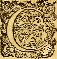 An illustration from Gvlielmi Rondeletii ... Libri de piscibus marinis, in quibus veræ piscium effigies expressæ sunt .. (1554)
